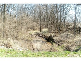 Property photo 3 - LAND AUCTION - 79+/- ACRES IN 3 TRACTS IN WAYNE COUNTY, INDIANA